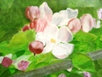 54 - Apple Blossom - Oil - Margaret White.JPG